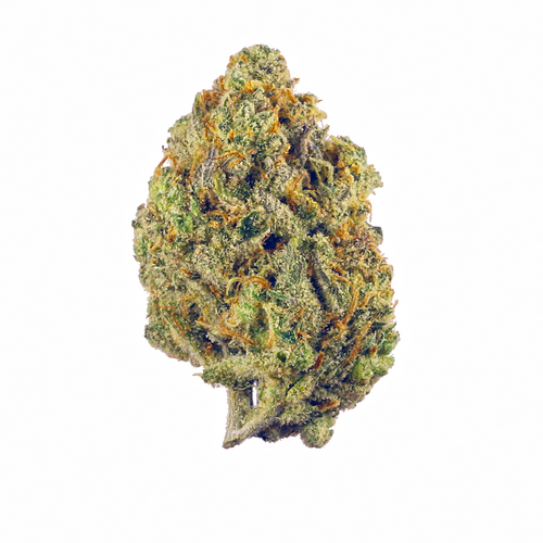 Blueberry Gelato Clone (Indica Dominant)