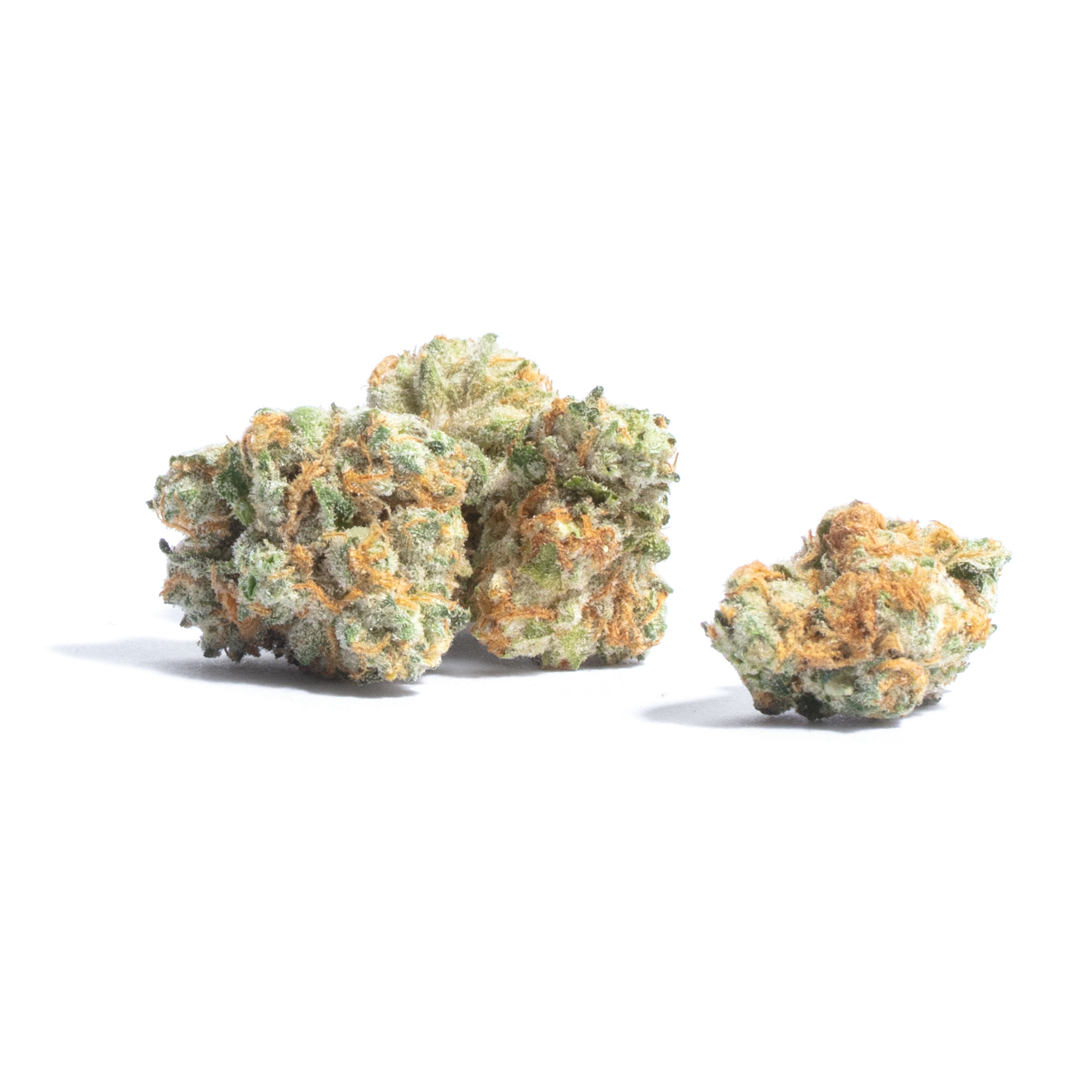 Ghost Riderz Clone (Hybrid)
