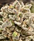 Mendo Breath