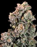 Slurpicane