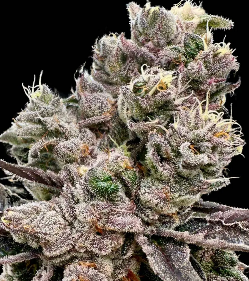 Platinum Green Apple Candy