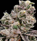 Platinum Green Apple Candy