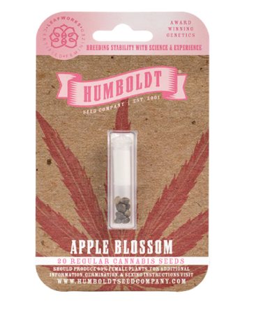 Apple Blossom
