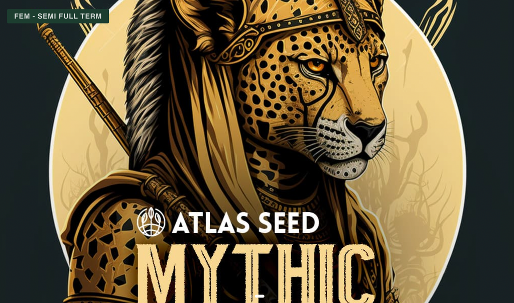 Mythic Cheetah