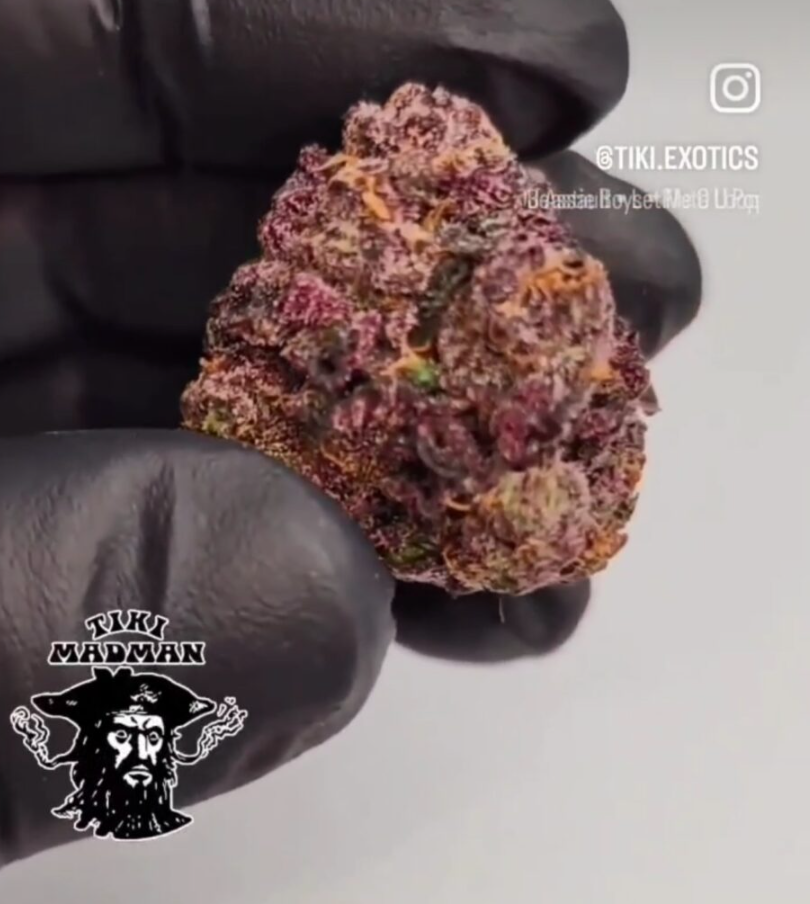 Sex on the Beach 
Sex on the Beach Clone 
Clone
Cannabis Plant 
Indica 