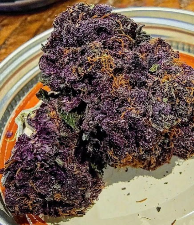 Sour Tropical Cherry 
Sour Tropical Cherry Clone 
Clone 
Cannabis Plant 
THC Plant
Sativa 