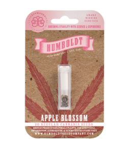 Apple Blossom Autoflower