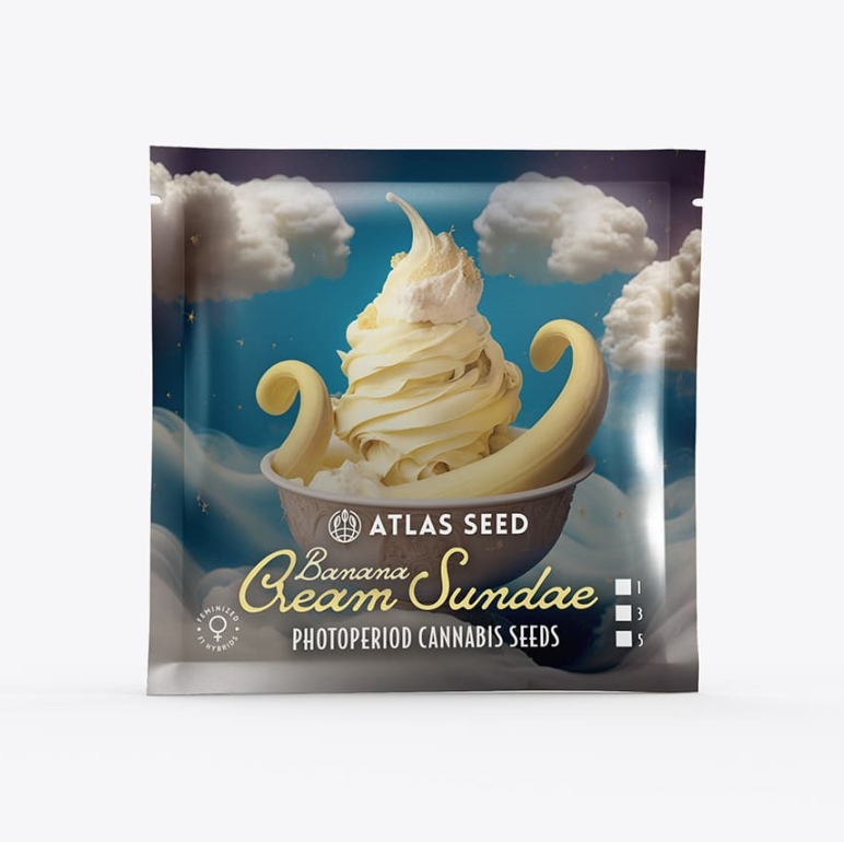 Banana Cream Sundae
