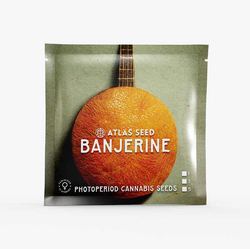 Banjerine