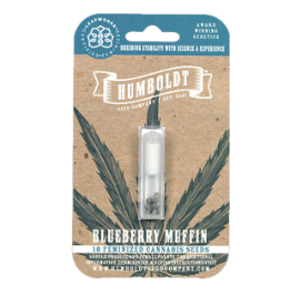 Blueberry Muffin