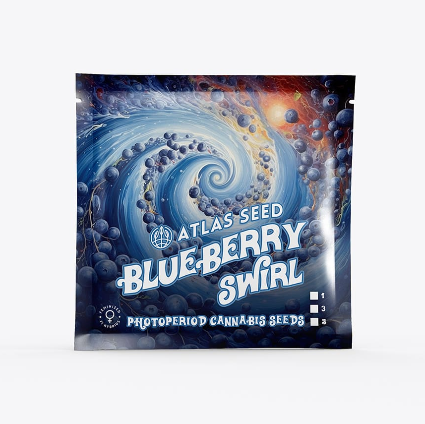 Blueberry Swirl