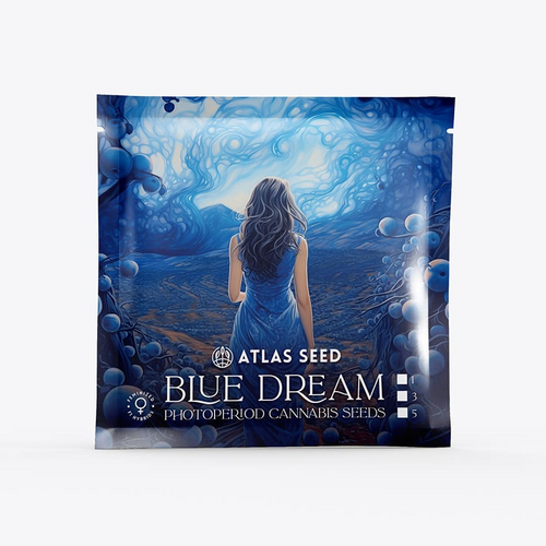 Blue Dream Full Term