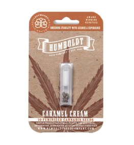 Caramel Cream