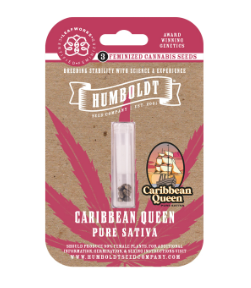 Caribbean Queen "Pure Sativa"