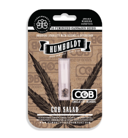 COB Salad
