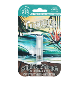 Collie Man Kush - Slightly Stoopid