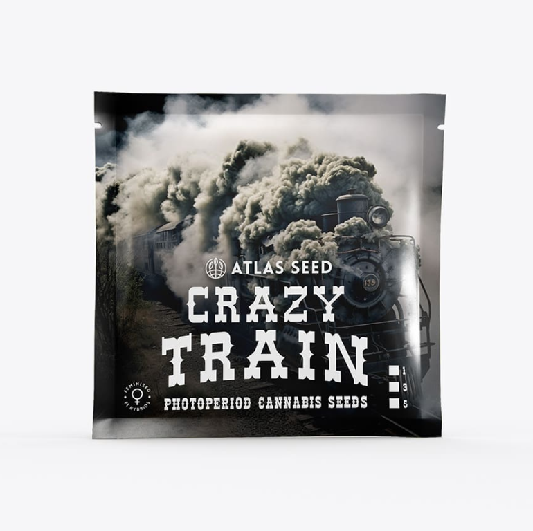 Crazy Train