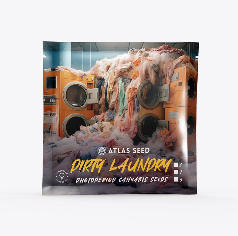 Dirty Laundry