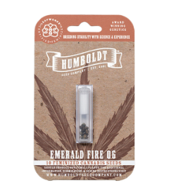 Emerald Fire OG Autoflower