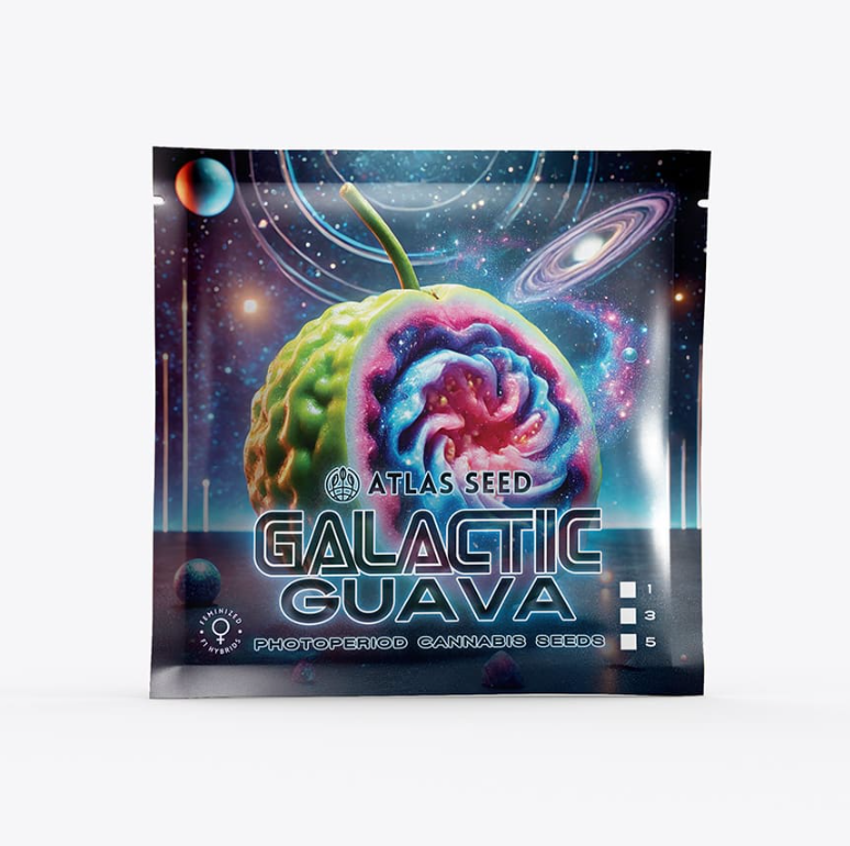 Galatic Guava