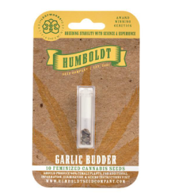 Garlic Budder Autoflower