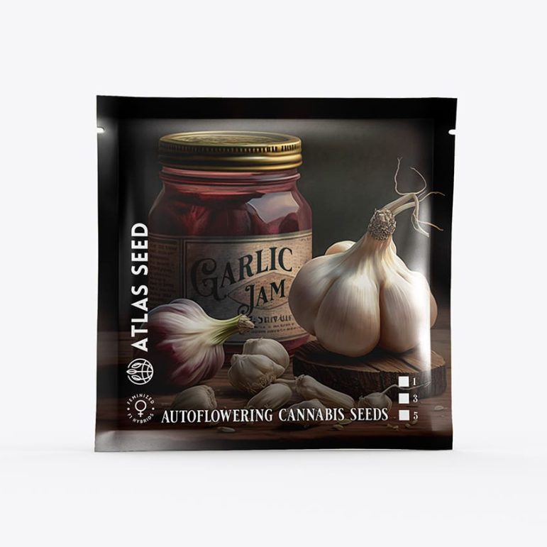 Garlic Jam Autoflower