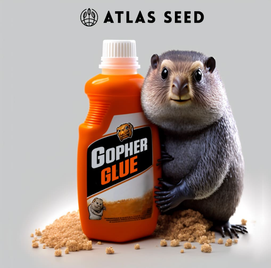 Gopher Glue