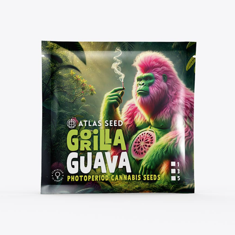 Gorilla Guava