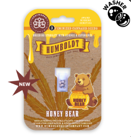 Honey Bear