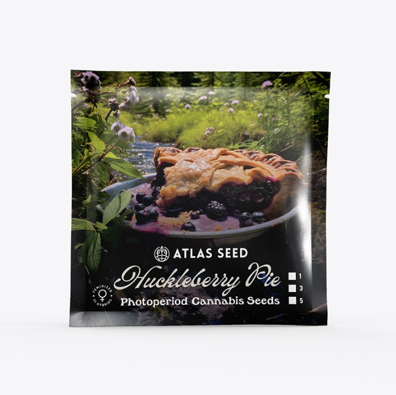 Huckleberry Pie