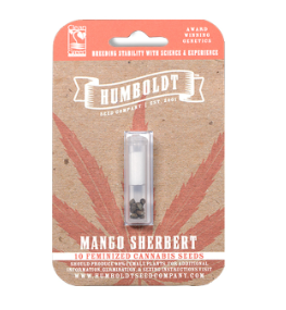 Mango Sherbert Autoflower
