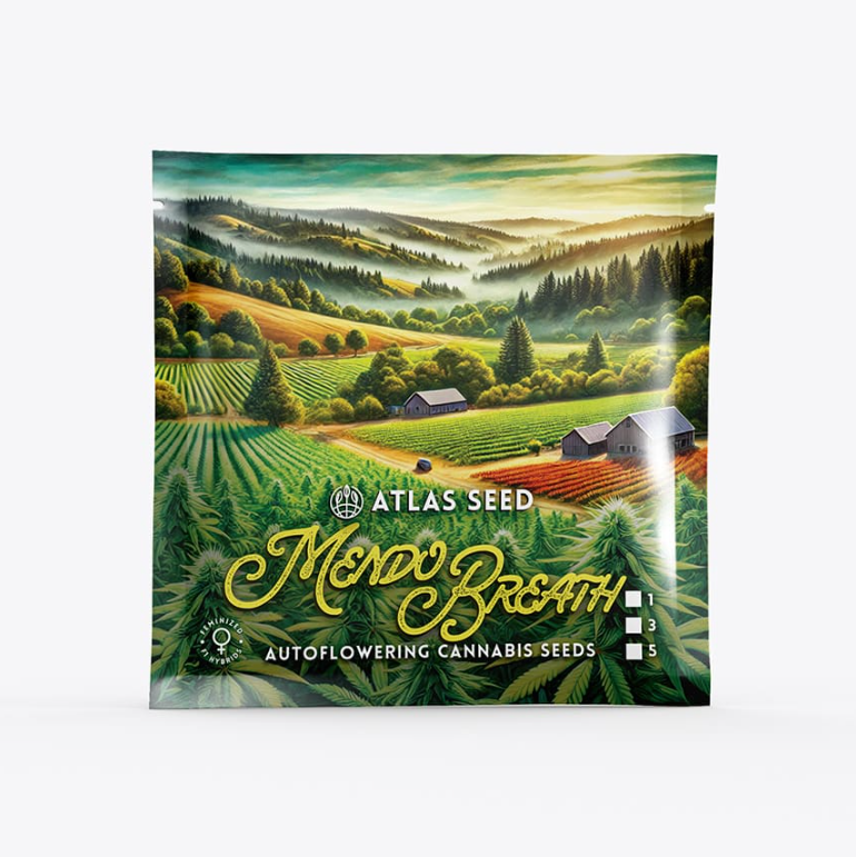 Mendo Breath