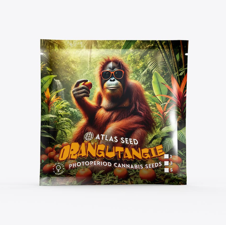 Orangutangie
