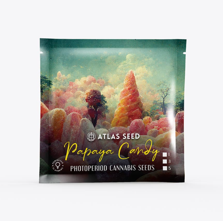 Papaya Candy