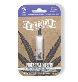 Pineapple Muffin Autoflower