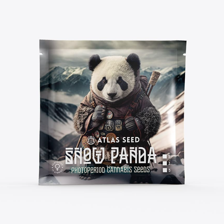 Snow Panda