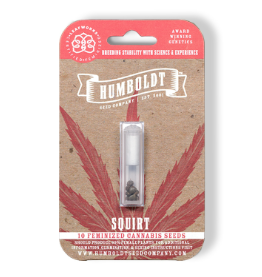 Squirt Autoflower