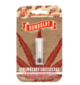 Strawberry Cheesecake Autoflower