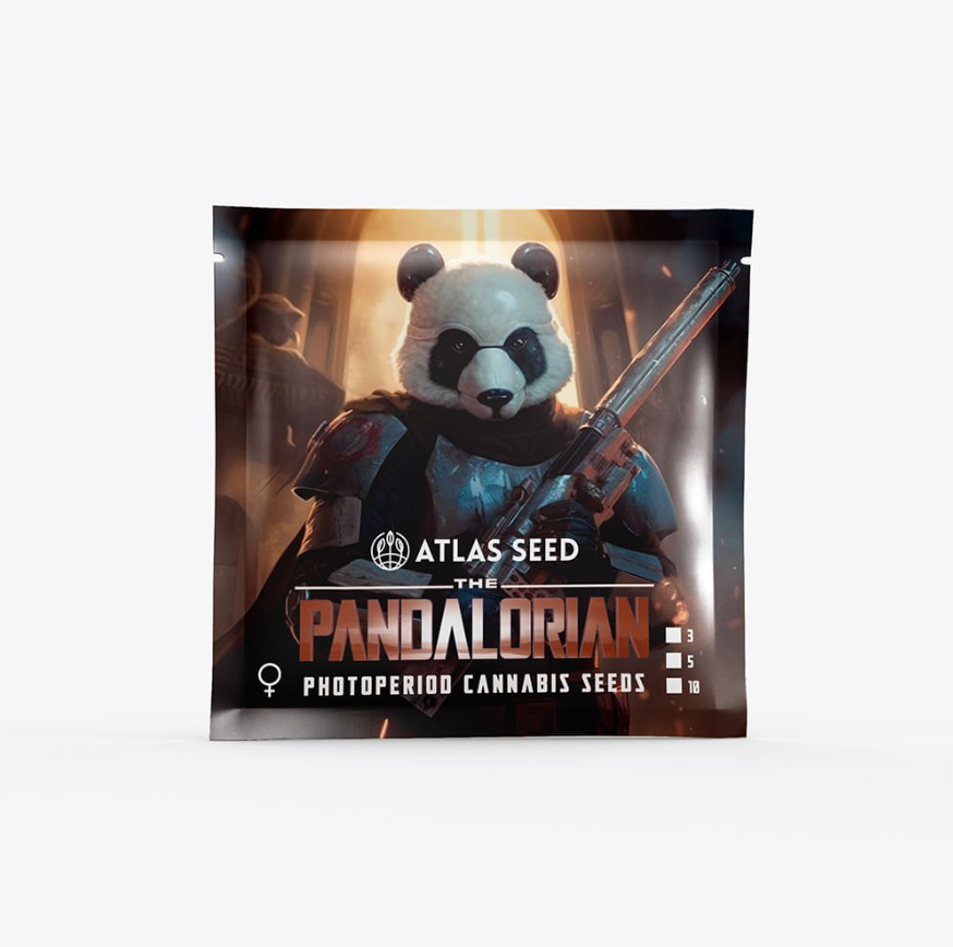 The Pandalorian