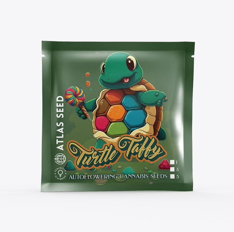 Turtle Taffy Autoflower