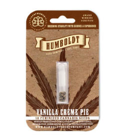 Vanilla Cream Pie